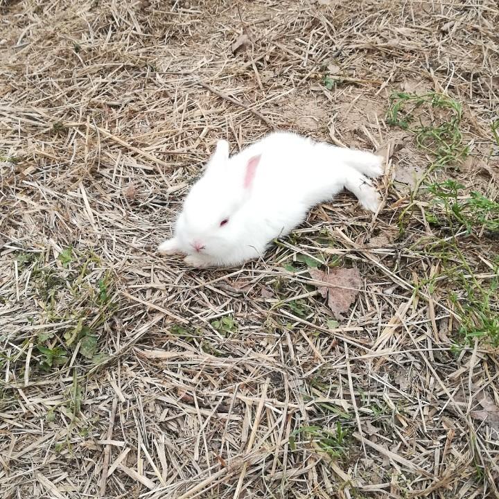 益