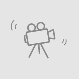 周寨卫生院西侧   胜利农资