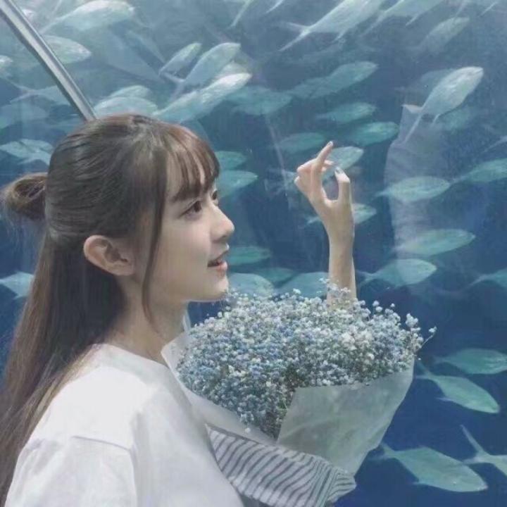 化作雨蝶