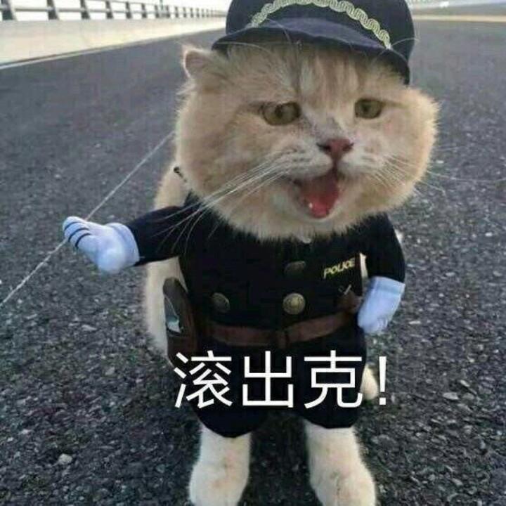 娜娜子