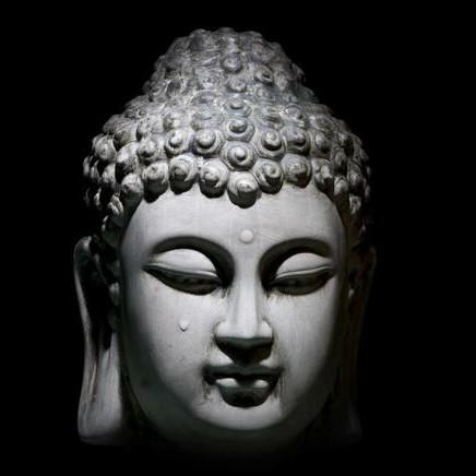 用户西伯利亚狼