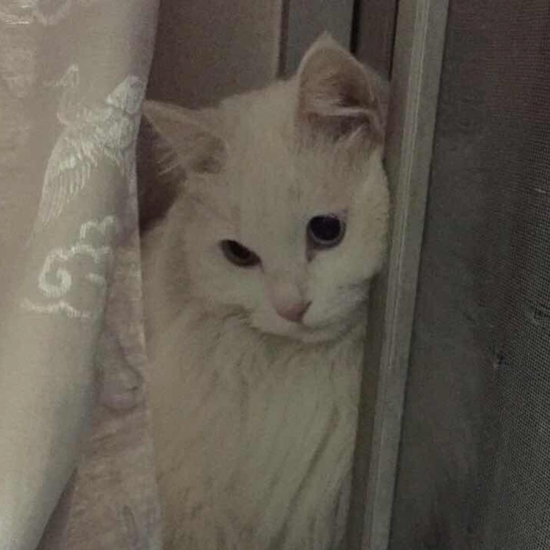 这也有人