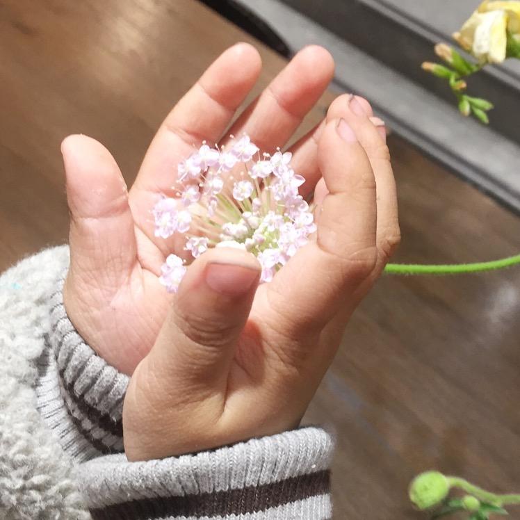 宁昕妤硕❤️