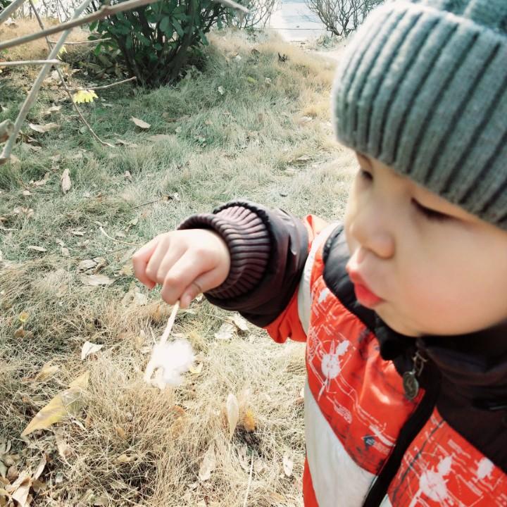 尐瀞瀞