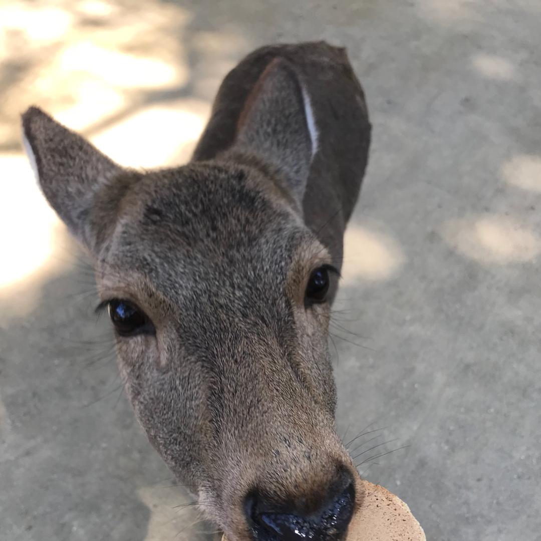 烟花易冷易热易燃易爆炸