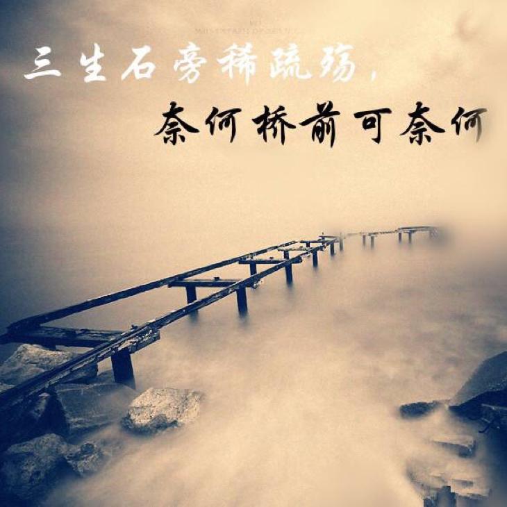 ☘️别再靠近我✨