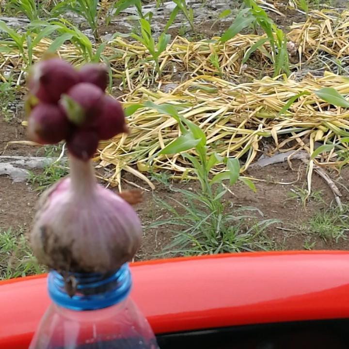 J6是我家