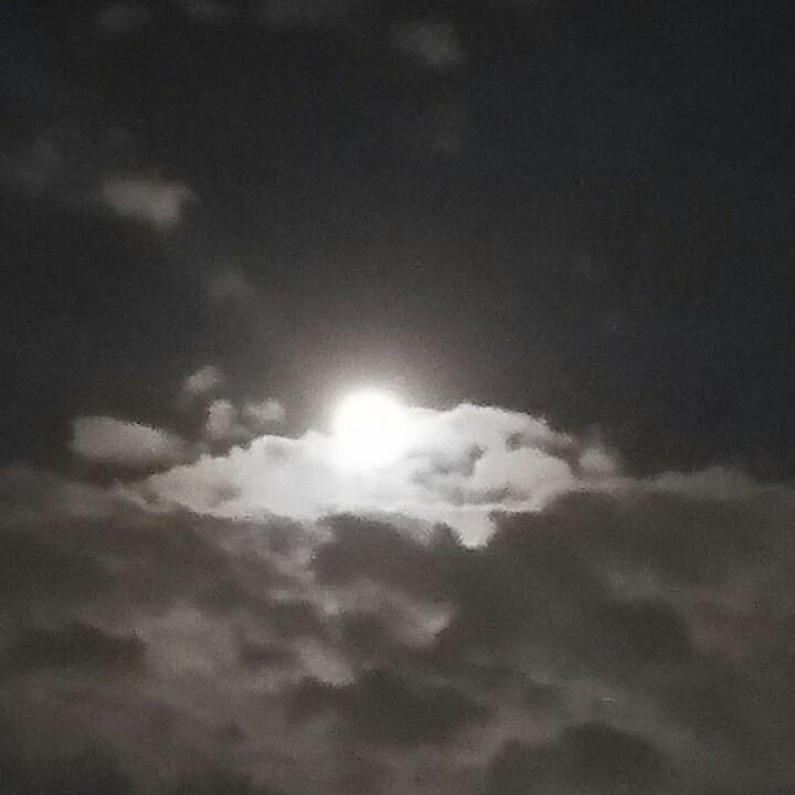 漂白剂
