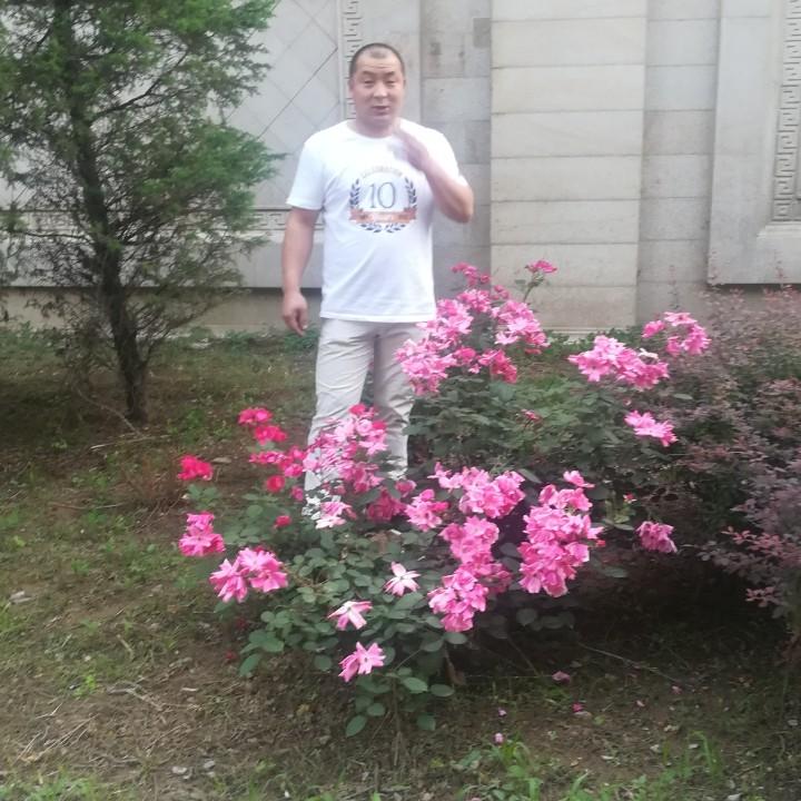 一生不悔