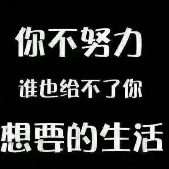 北城以北爱荒凉