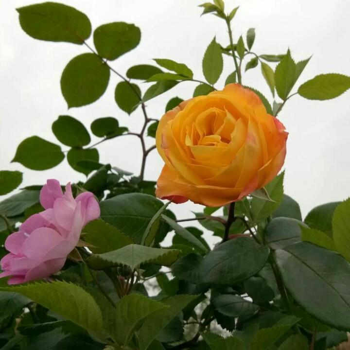 与鬼同行🧚🏼‍♀️