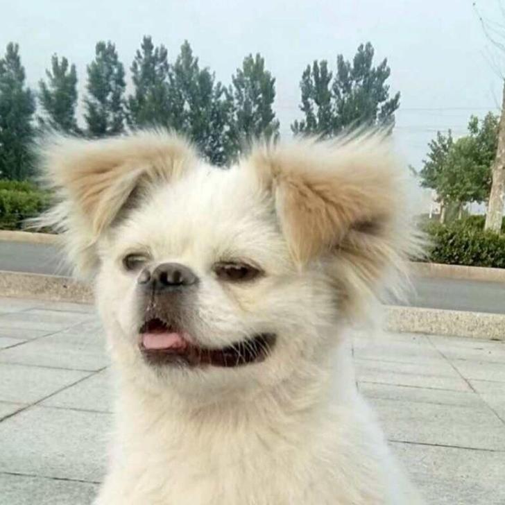 越努力，越幸福(暴瘦40斤)