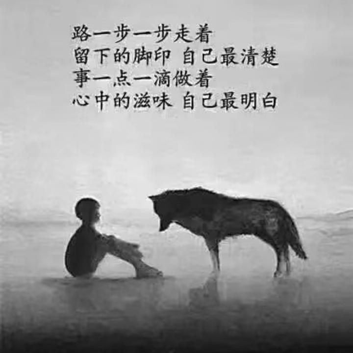 夜狼