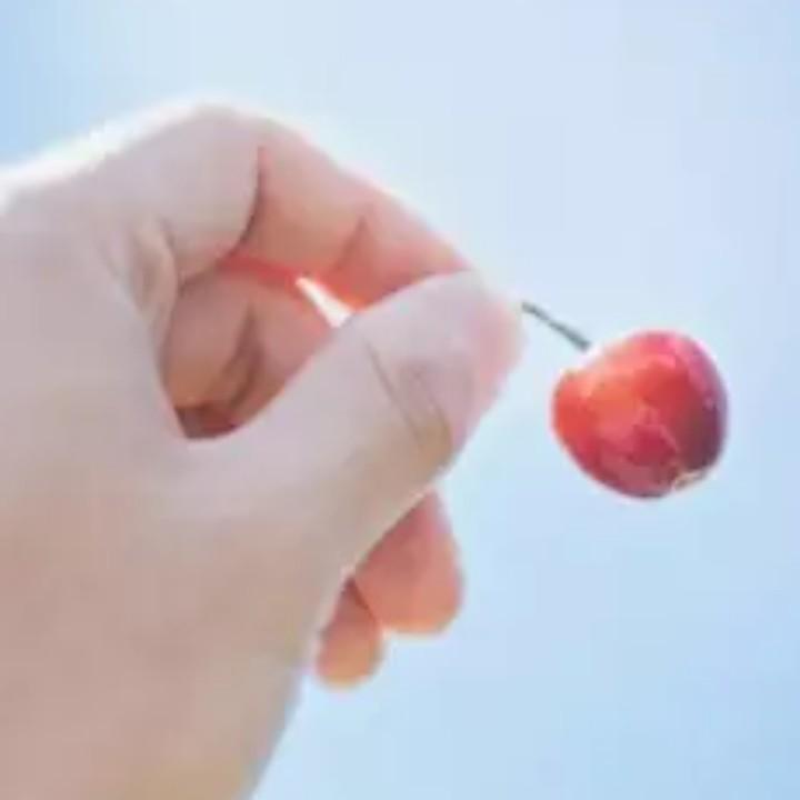 平淡是真