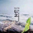 爱吃肉的小羊羔