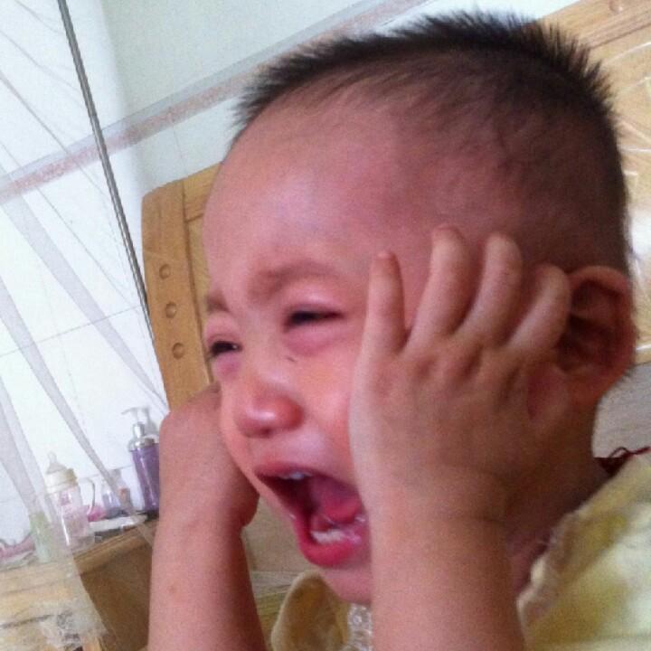 爬墙的狼