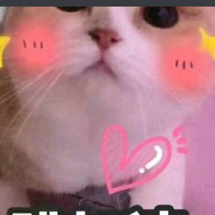 龙少