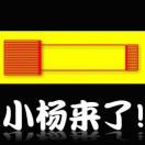 替罪的杨