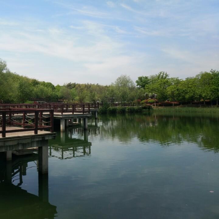 音忙
