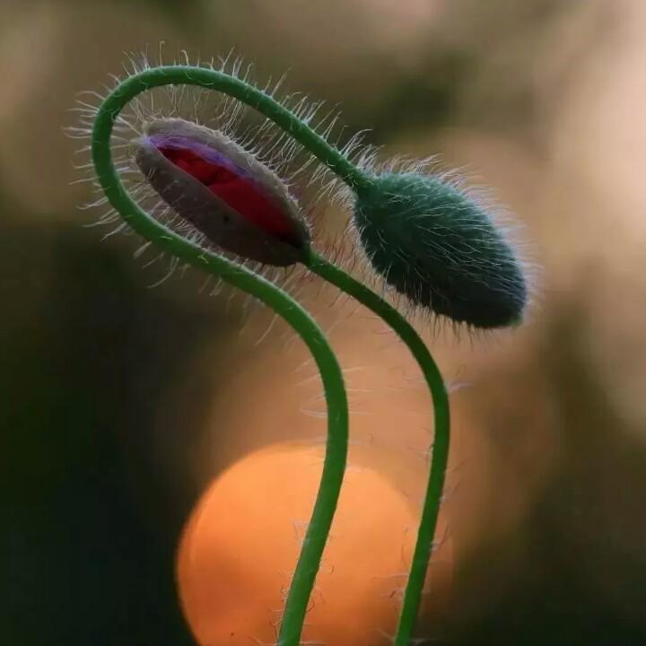 &阳光