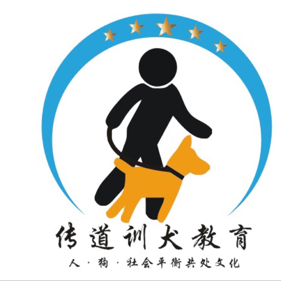 传道宠物心理学-琪哥