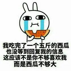 树欲静而风不止，留给我的时间不多了