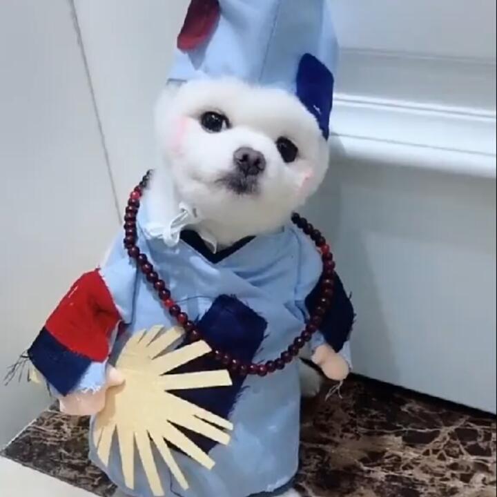 一切都好像失去了意义
