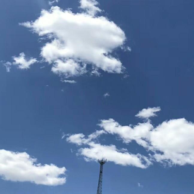 二新