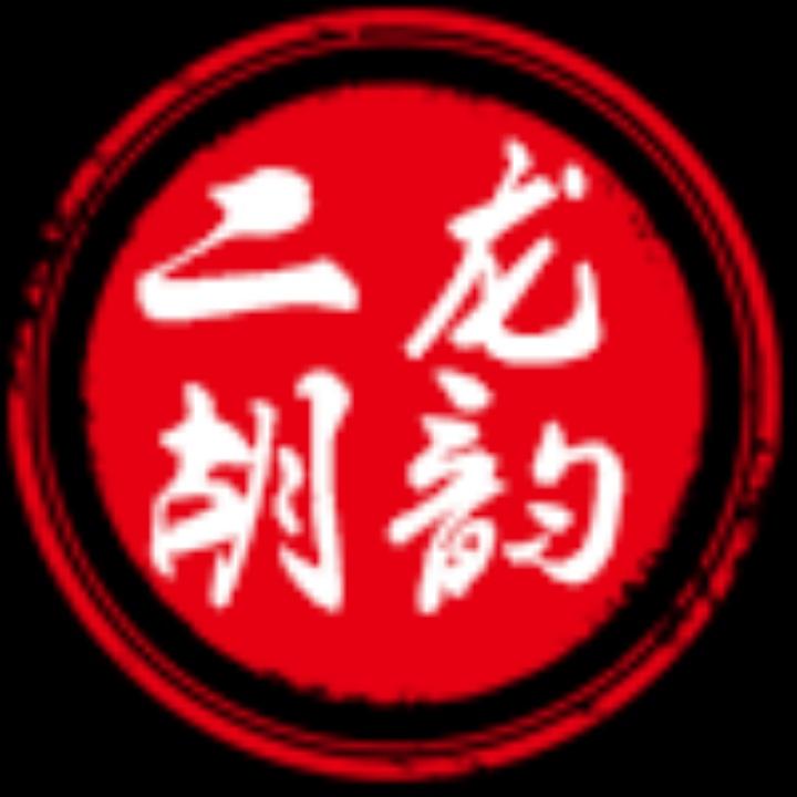 龙韵乐器旗舰店