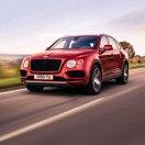 ௸故事༊ོོོ࿆如酒の࿆೨