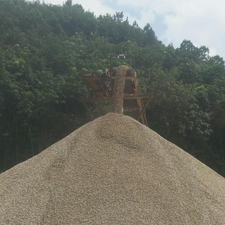森哥
