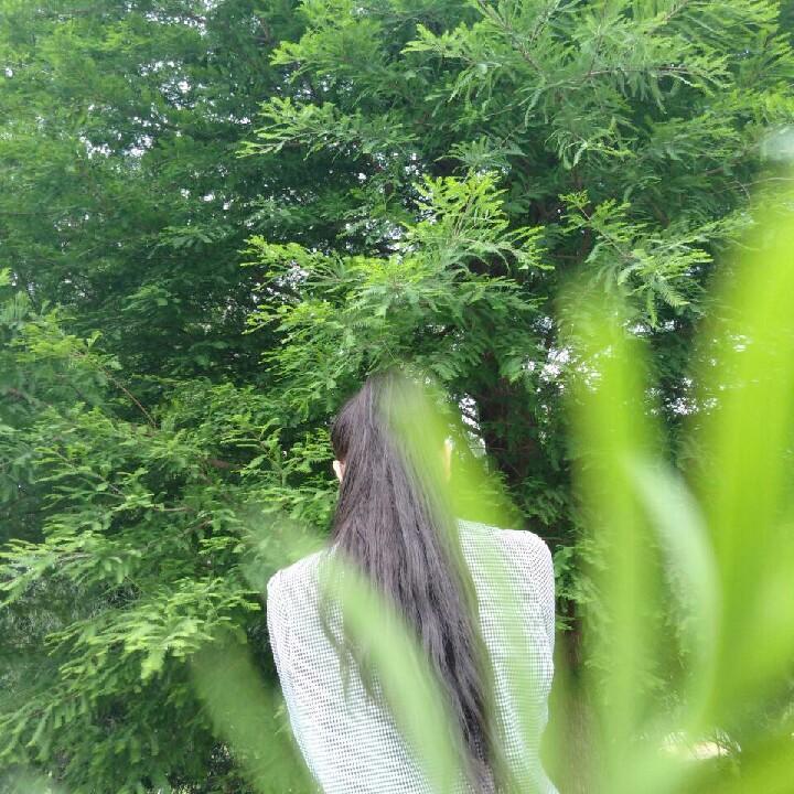 南归