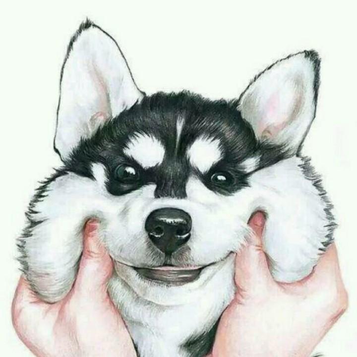 飞先生✔