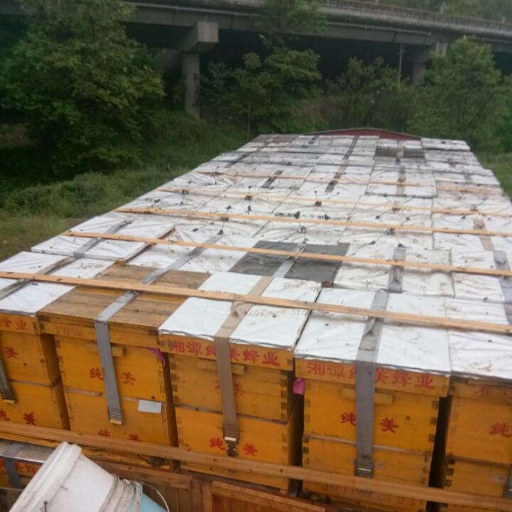 湘潭蜜蜂哥哥