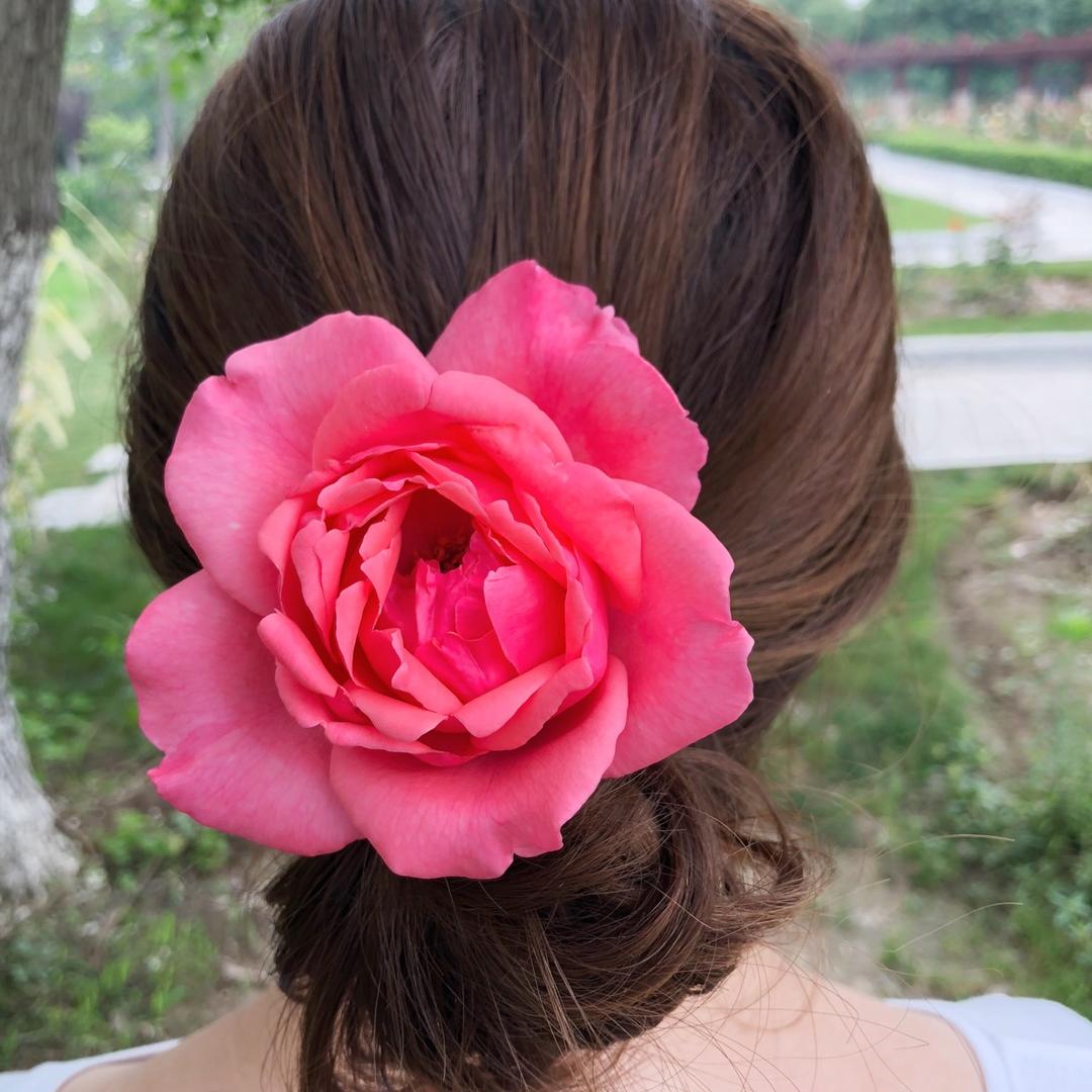 美女小曼劳斯