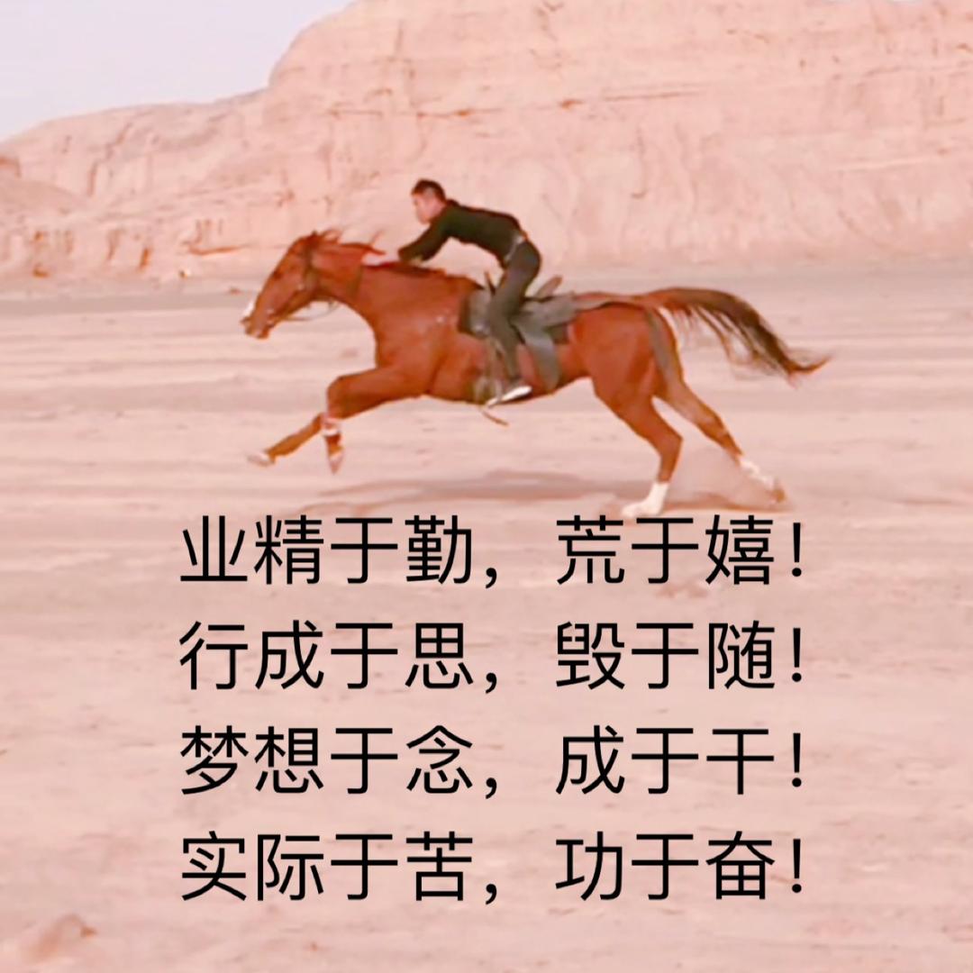 骑马小伙林飞