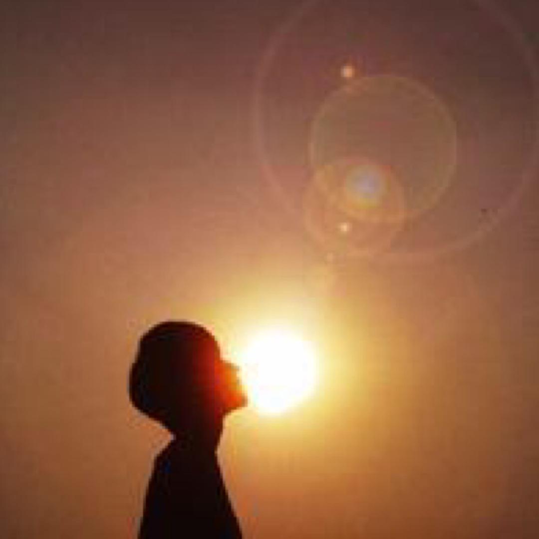 🍔汉堡包、Tommy