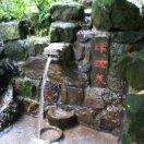 淘宝纸箱-印刷机