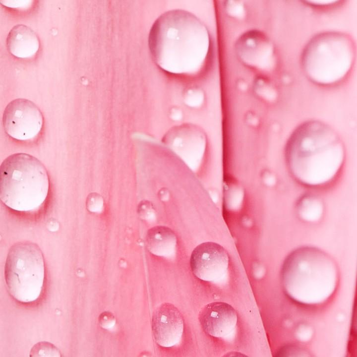 风一样