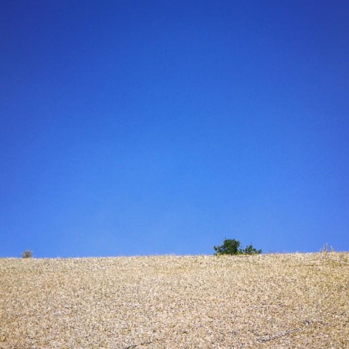 P.c