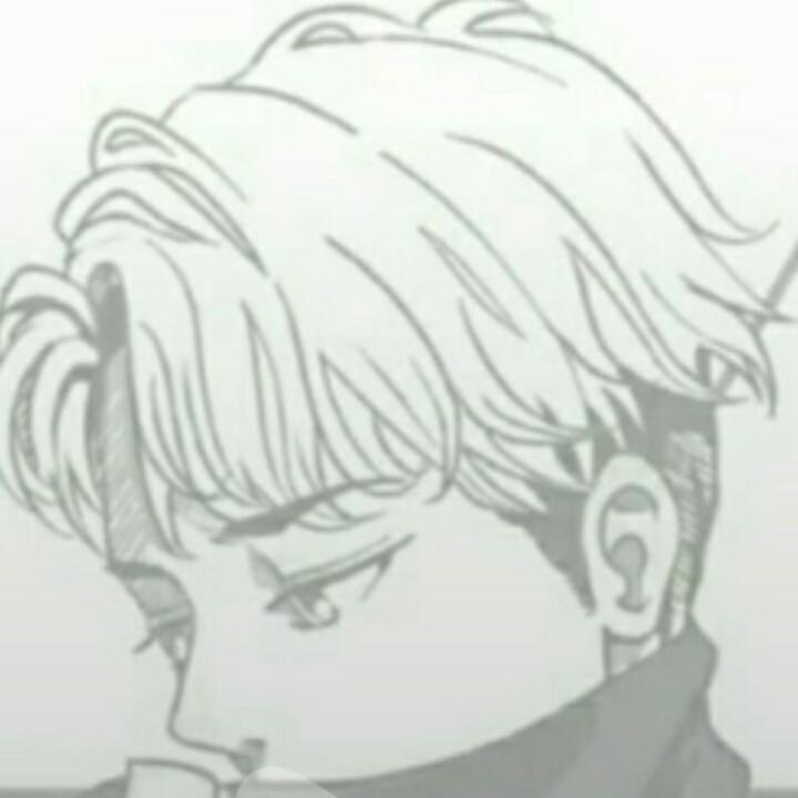 桑叶