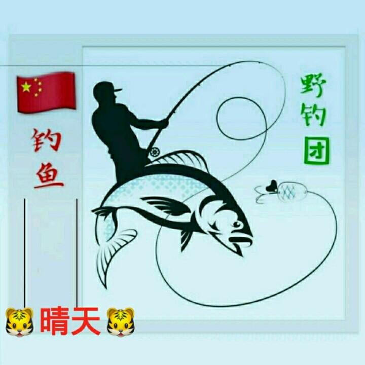 鱼忆三秒吾忆三生