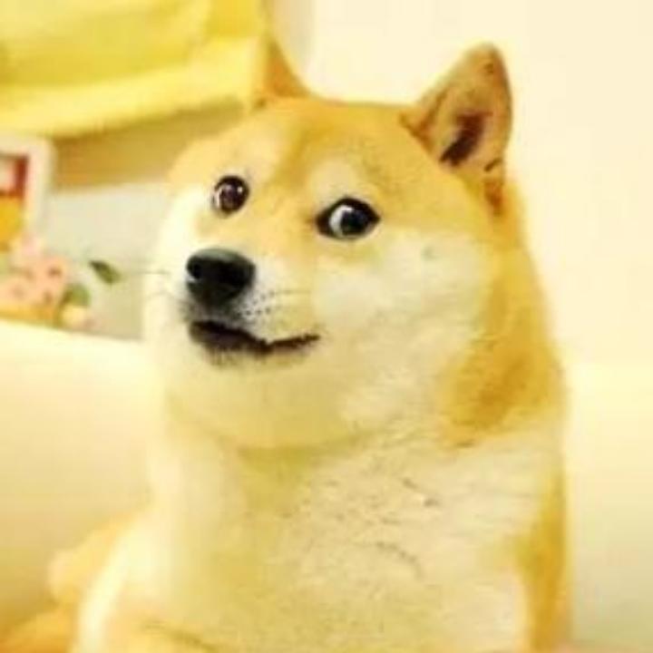 天天向上