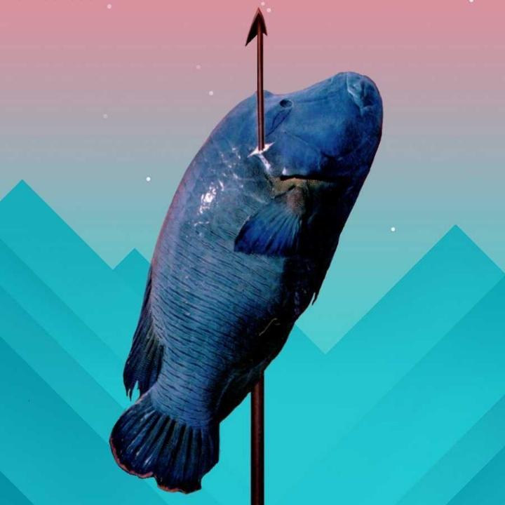 渣教授