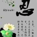 朱同庆物流运输