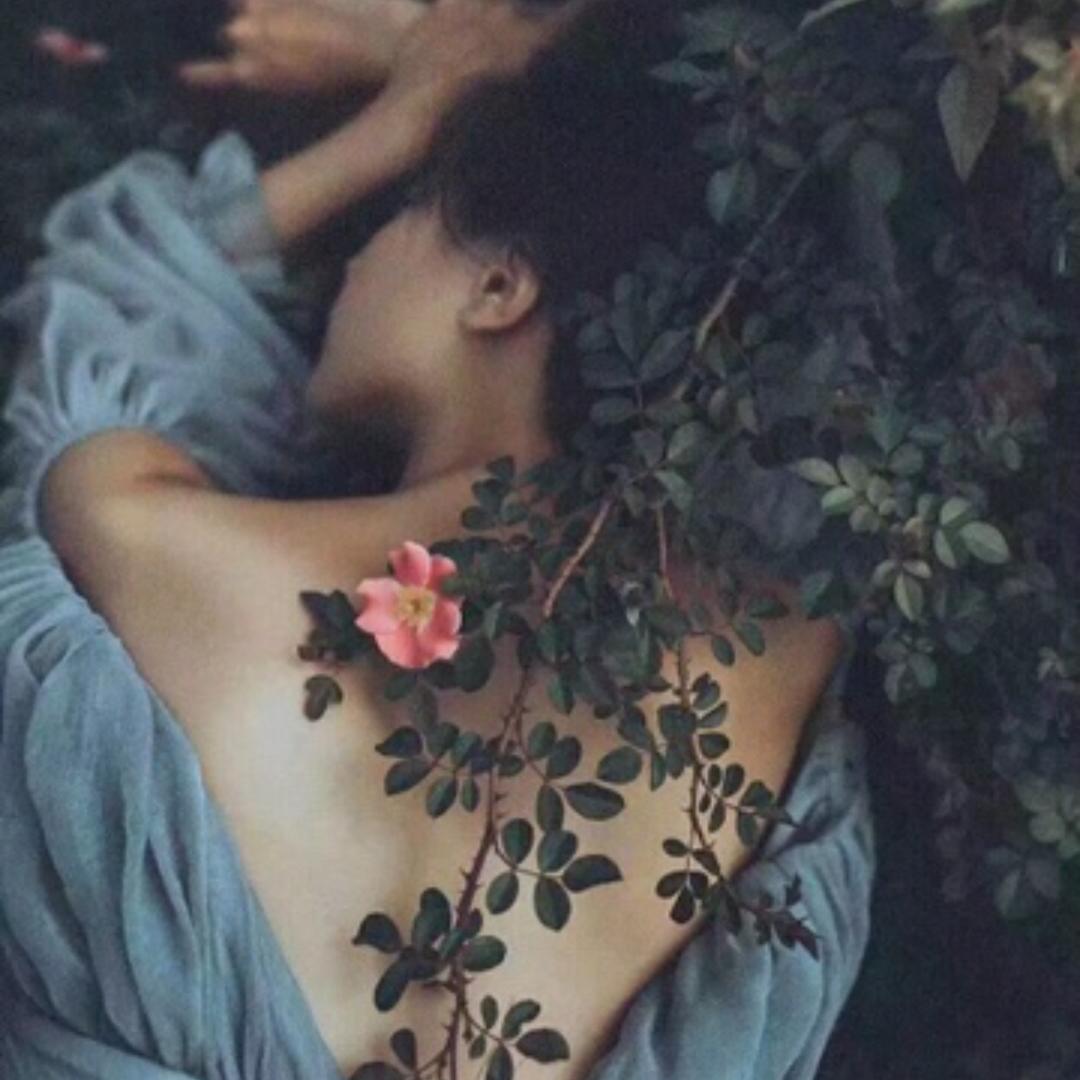 周周周🌙