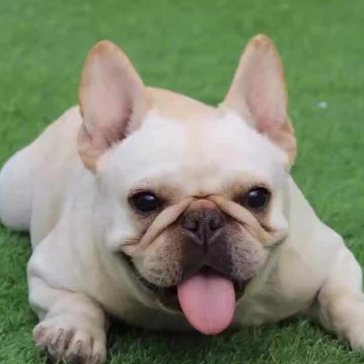 哥是个传说