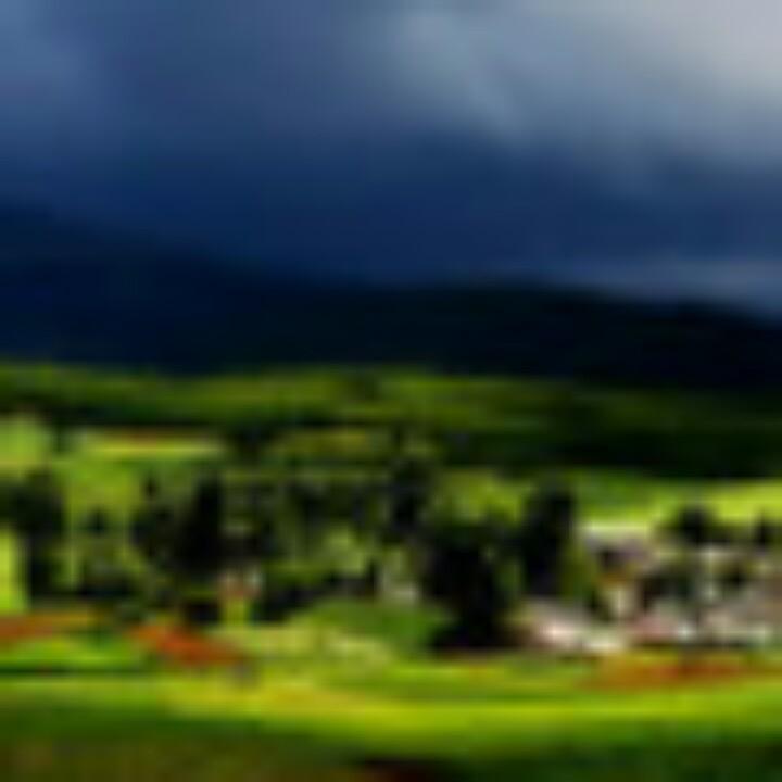 藏曲汽车租赁公司