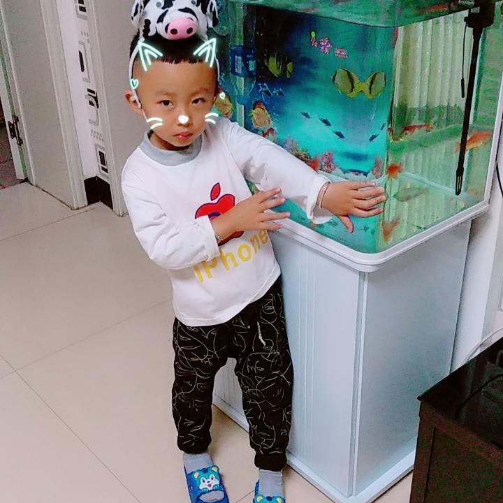 诺诺（互粉交友）