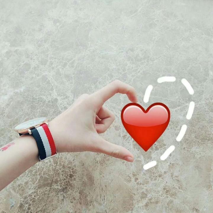 两个狗宝成长记